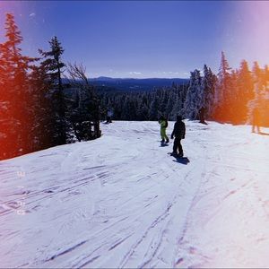 Meet your Posher, Maria